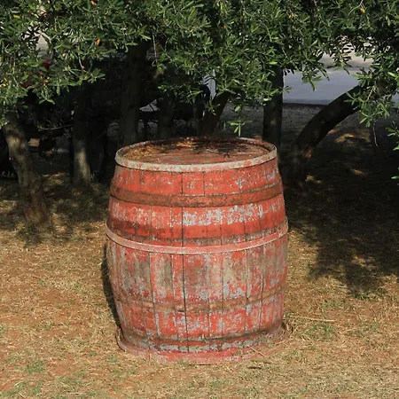 Apartament By The Sea Kraj, Pasman - 331